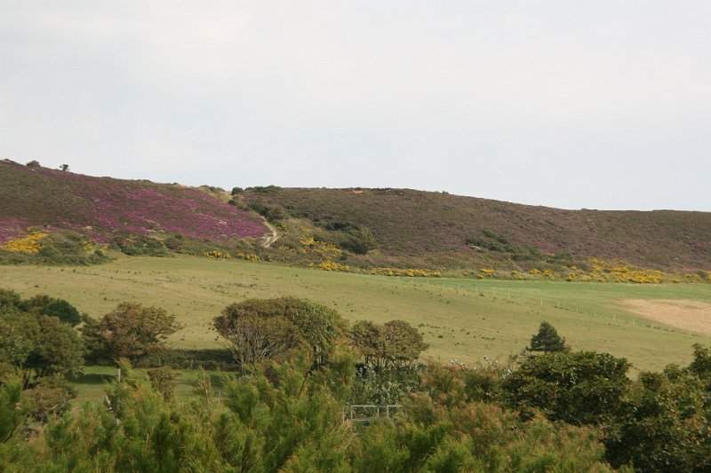 Engeland zuiden (o.a. Stonehenge) - 174